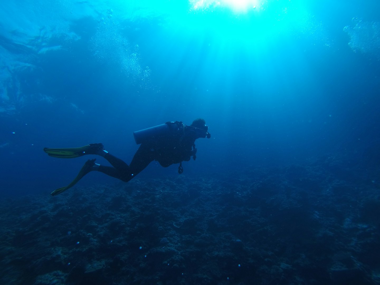 Palawan diving - Diving in Palawan Diving the beautiful Palawan island