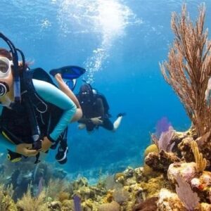 Open water scuba diver