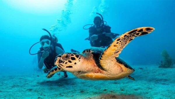 Open water scuba diver