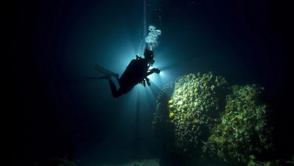 PADI - Advanced open water diver