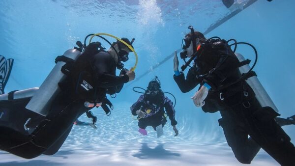 Rescue diver