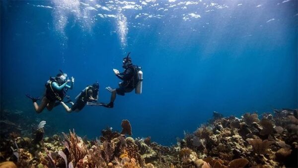 Discover scuba diver