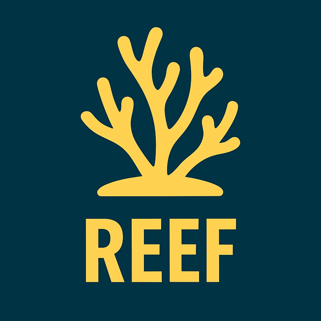 Reef - Diving in Palawan Reef