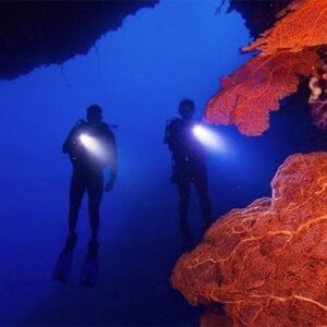 MSTD - Master Scuba Diver Trainer