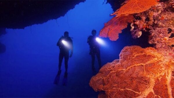 MSTD - Master Scuba Diver Trainer