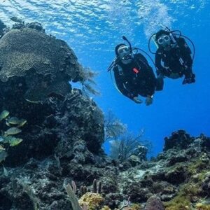 Discover scuba diver