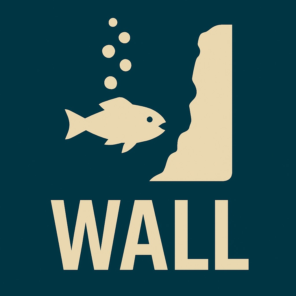 Wall - Diving in Palawan Wall