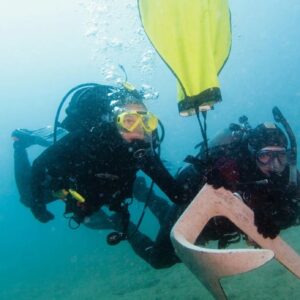 Search and recovery diver