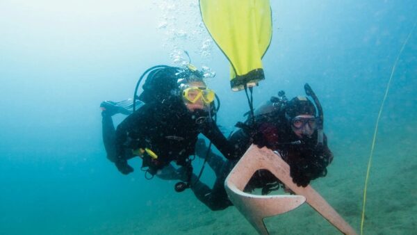 Search and recovery diver
