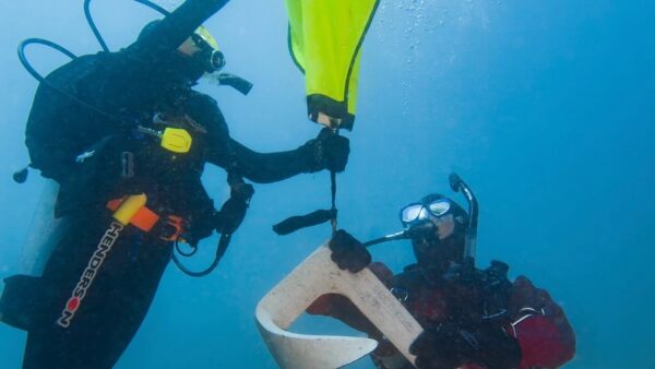 Search and recovery diver