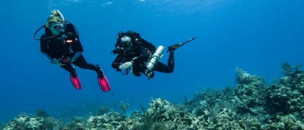 Rebreather diver