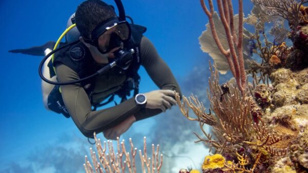Peak Performance Buoyancy