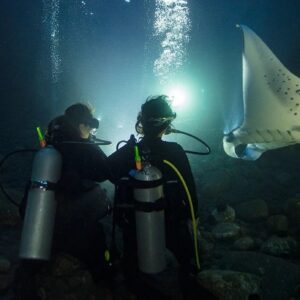 Night diver