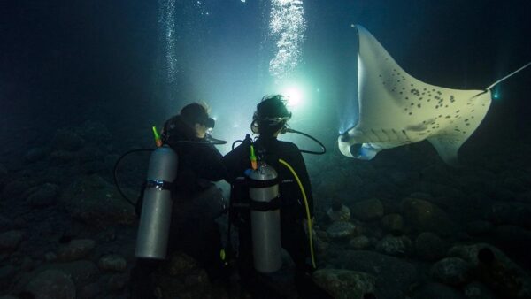 Night diver