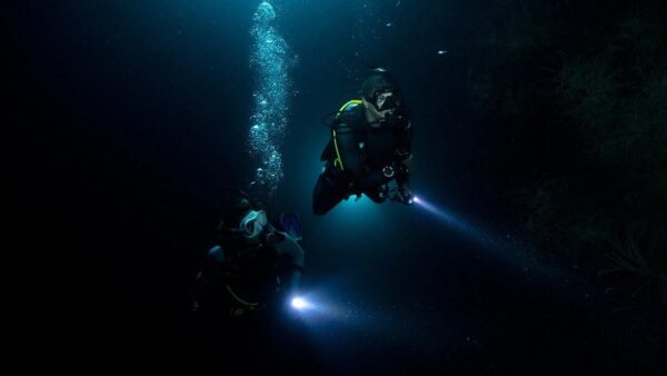 Night diver