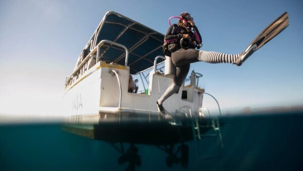 Boat Diver