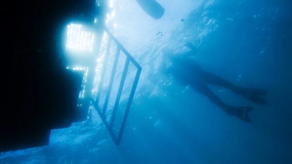 Boat Diver