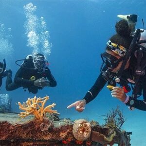 Divemaster