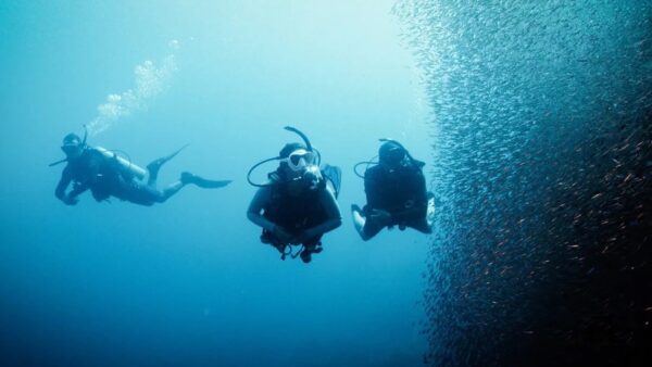 Deep diver