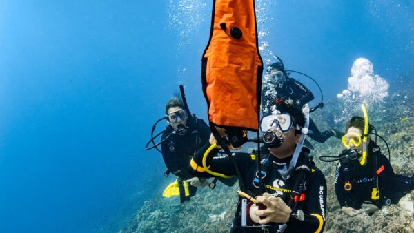 Delayed Surface Marker Buoy (DSMB) Diver
