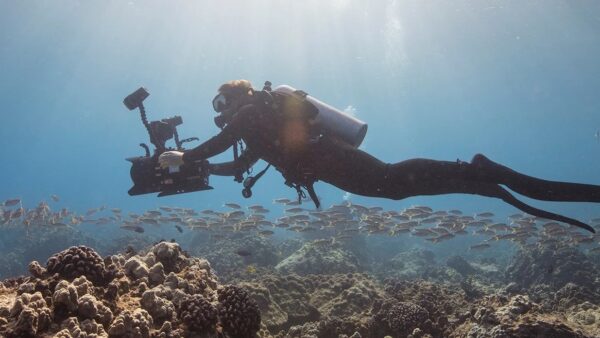 Digital Underwater Photographer