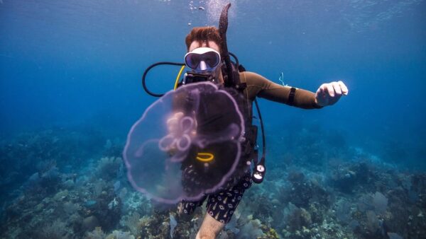Digital Underwater Photographer