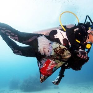 Dive Against Debris