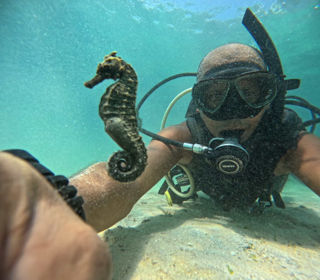 DCIM100GOPROGOPR0508JPG - Diving in Palawan