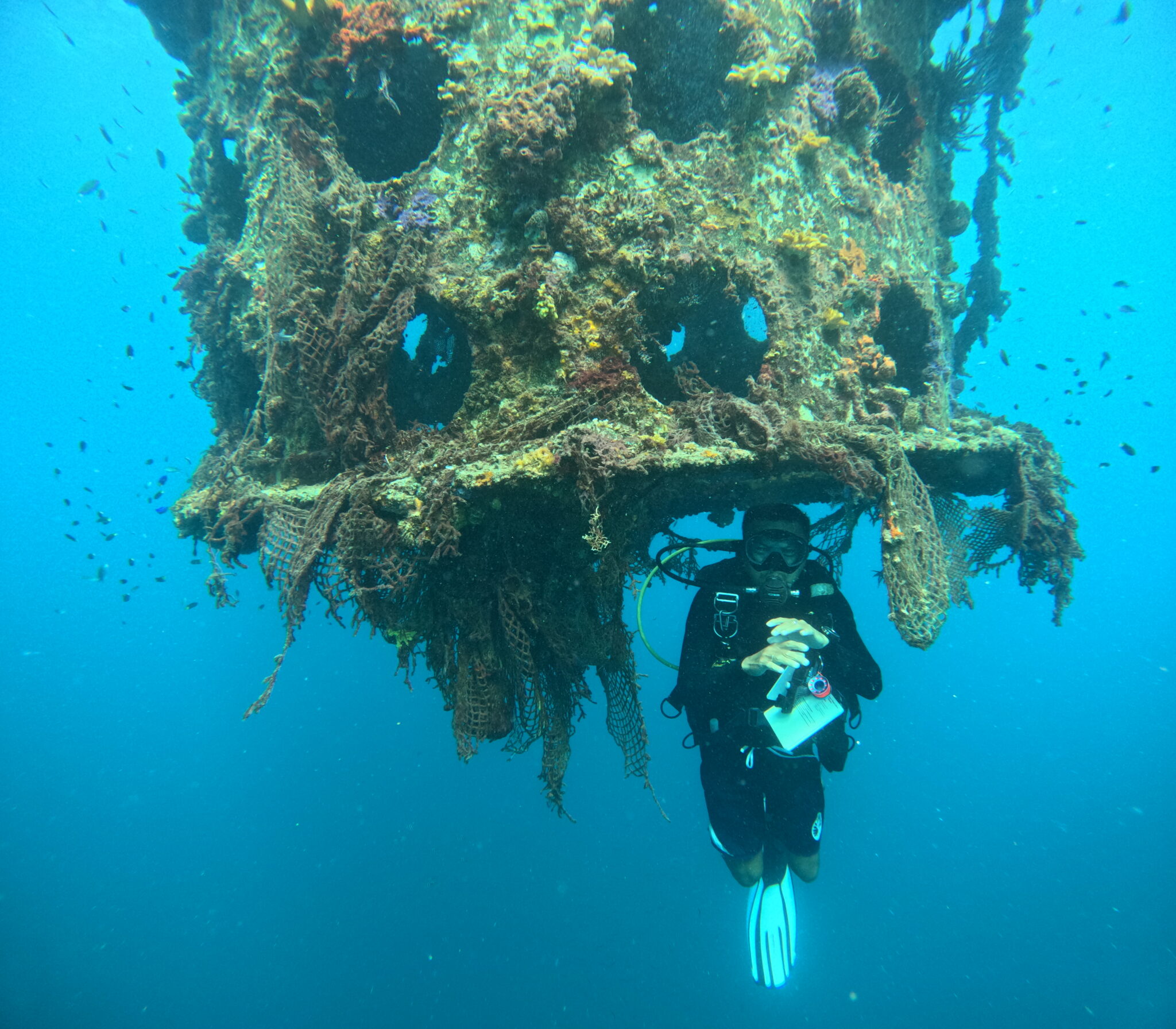 Diving in El Nido - Diving in Palawan Structures underwater in El Nido